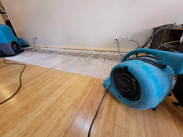 Reliable Crawl Space Water Removal contractor in Cortland, IL by Hirex Water Damage