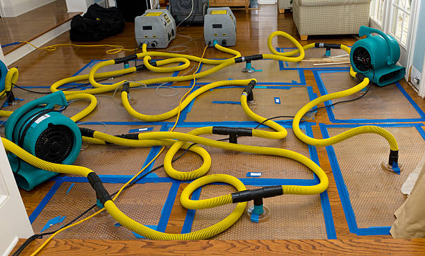 Professional Crawl Space Water Removal technician working in Cortland, IL